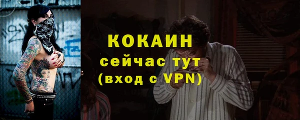 соль ск Козловка