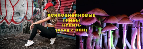 соль ск Козловка